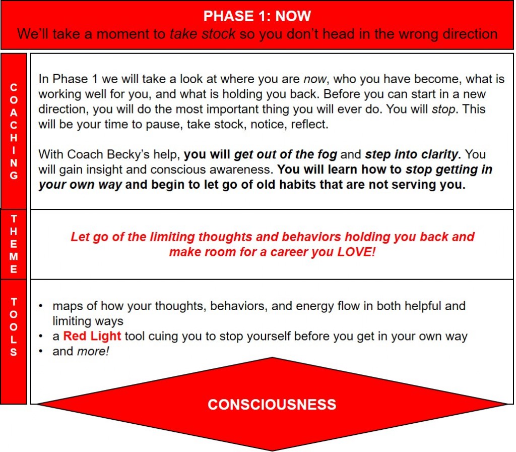 Phase 1_Now Wow Next Career Coaching Program_Choose a Life You Love